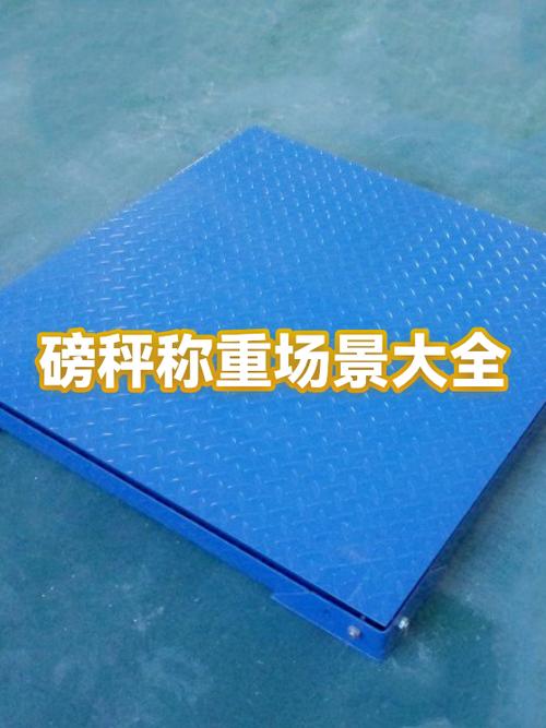 磅秤每一小格代表多少