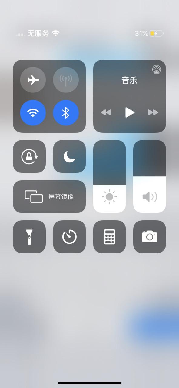 苹果x蜂窝数据打不开图标