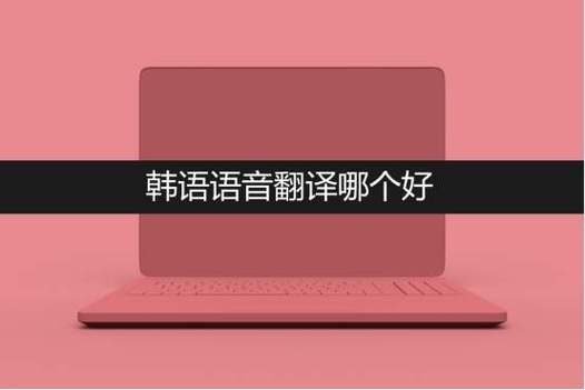 韩语翻译器在线翻译语音游戏截图