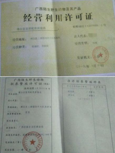 鼯鼠养殖许可证好办吗
