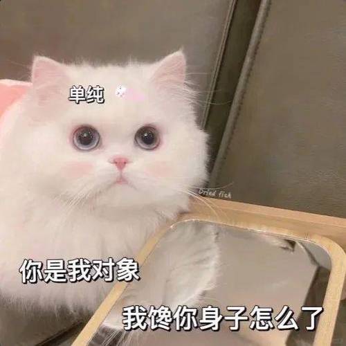 撩男朋友撒娇表情包缩略图