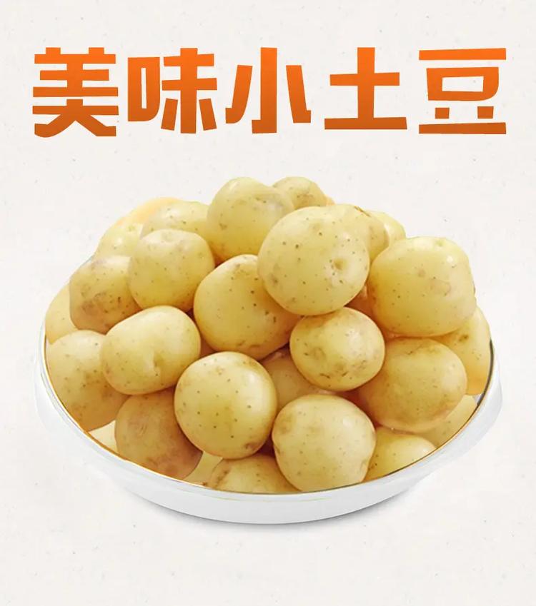 小土豆app下载
