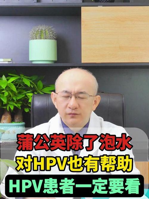 蒲公英对hpv病毒有效吗