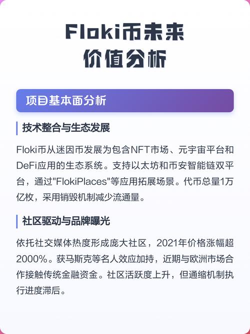 FLOKI币3年后的价值