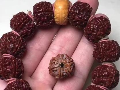 大金刚单圈