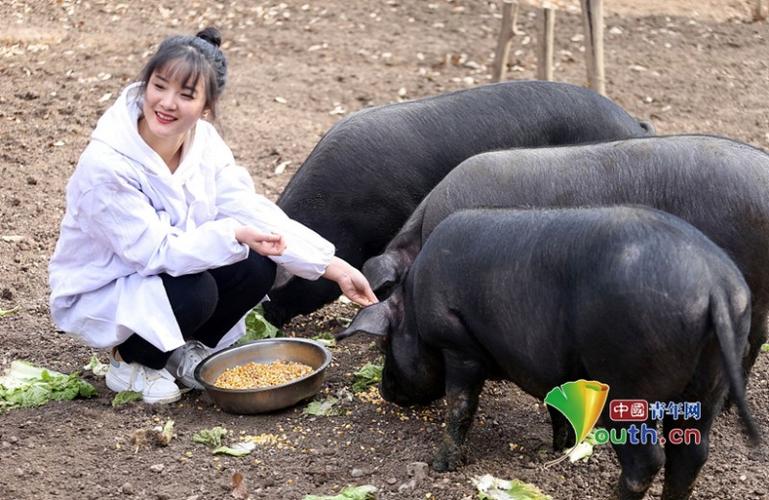 我是母猪女总裁林婉清小说免费阅读