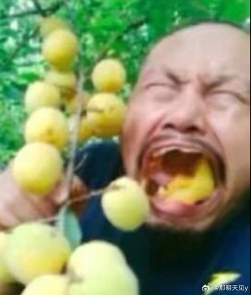 手握李子表情包