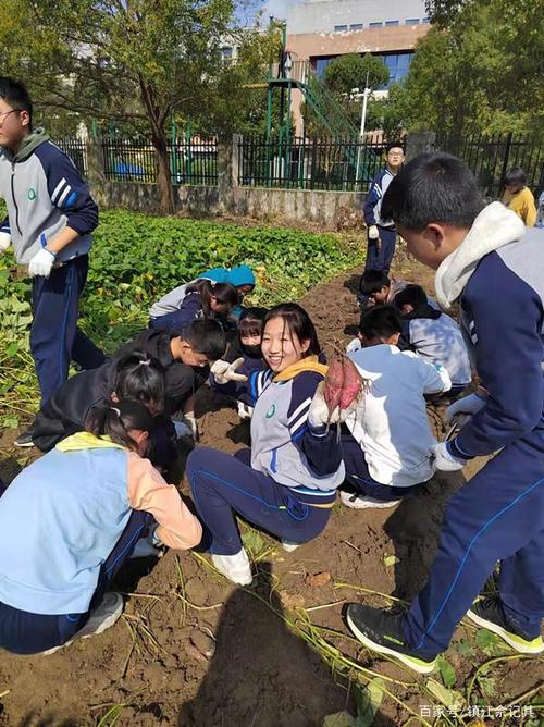 开放性综合实践活动