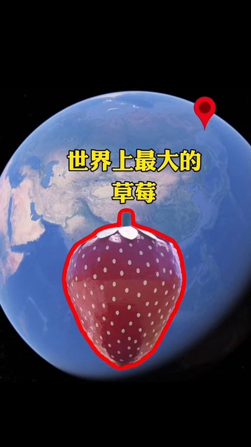 为什么现在草莓这么大
