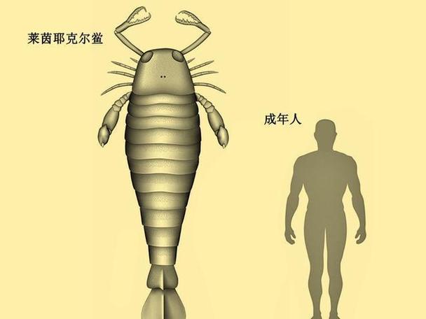 巨虫时代现在在哪