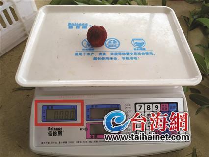 一斤重是什么概念