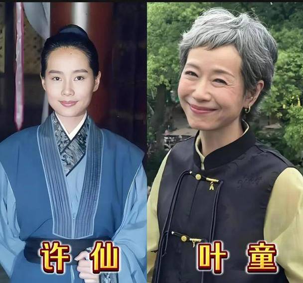 新白娘子传奇对比老版