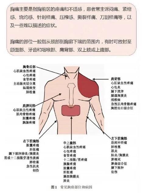 胸口位置疼痛对照表