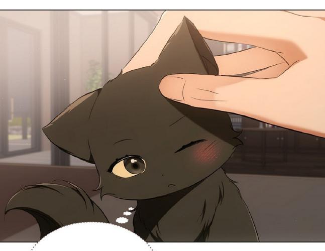 韩漫猫漫画