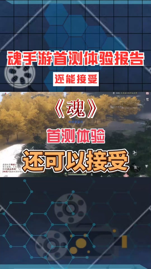魂2适应力加多少合适