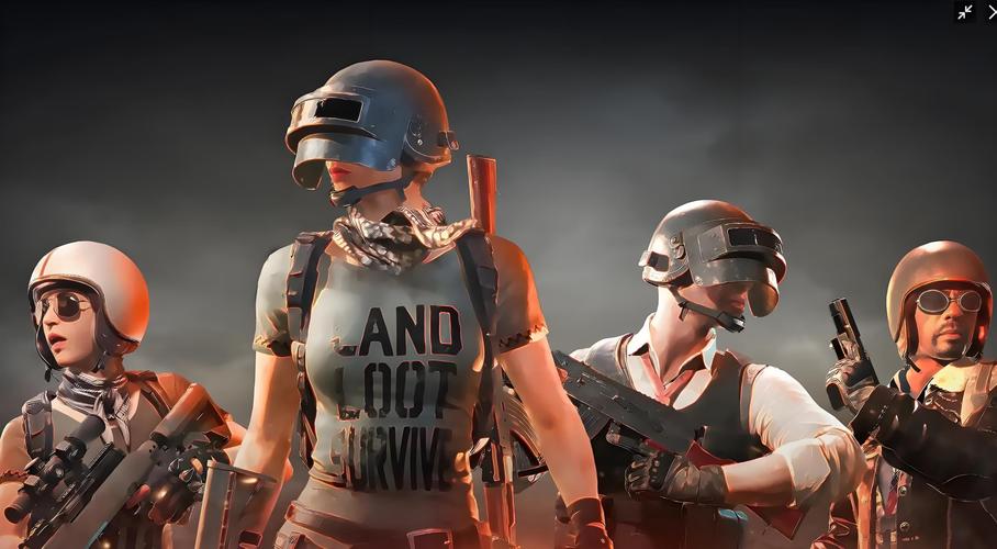pubgtoolpro官网版