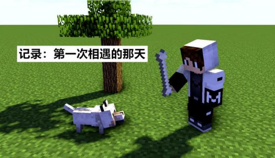 我的世界养狼