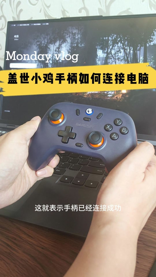 小鸡模拟器手柄方向键失灵