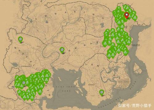 荒野大镖客2采集大师任务图标