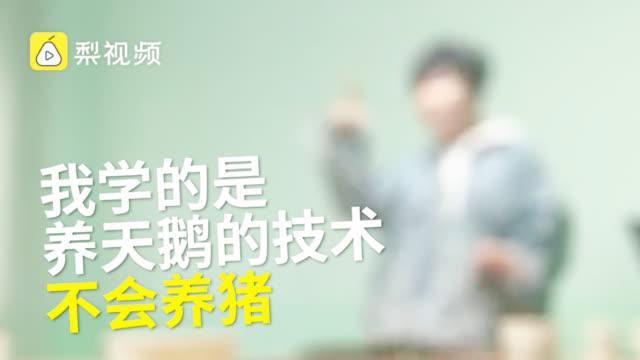 我学的是养天鹅的技术不会养猪