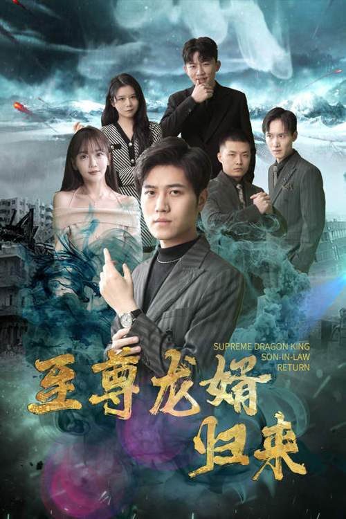 至尊龙婿归来免费观看