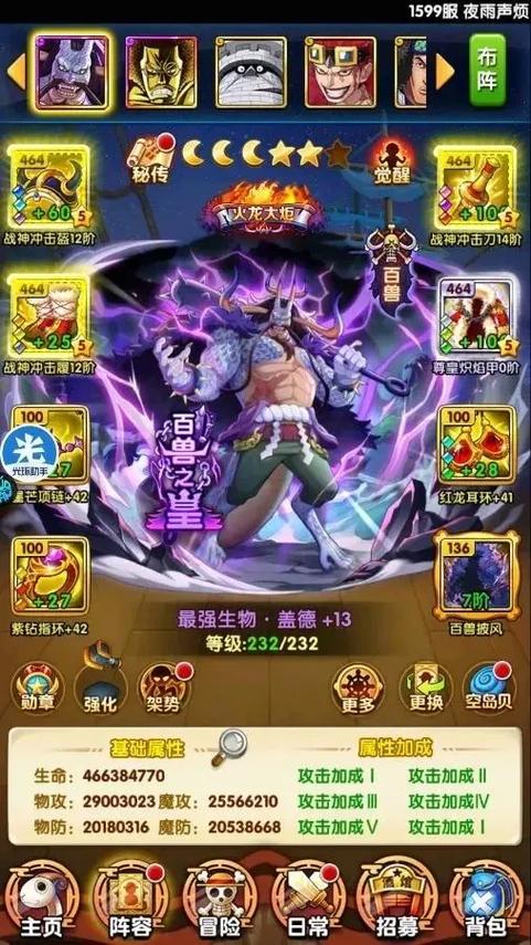 航海王强者之路伙伴传记是什么
