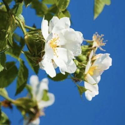 春花书屋怎么搜索书籍