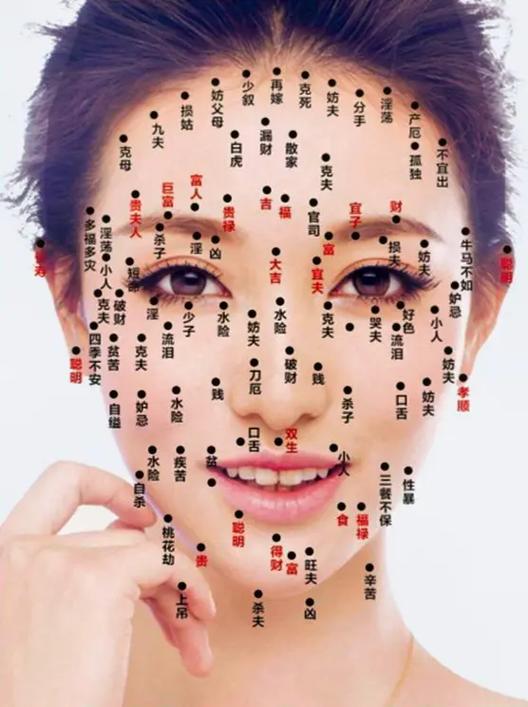 脸的部位图解截图