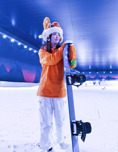 太仓阿尔卑斯国际度假区的滑雪项目
