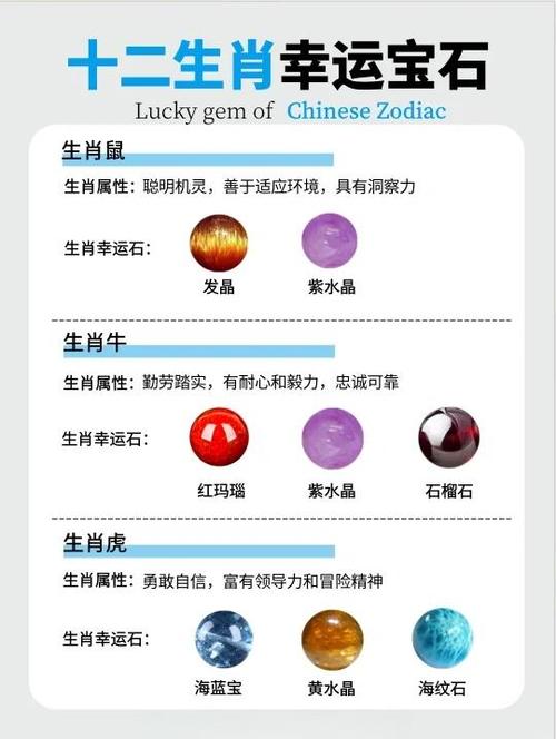 紫肖有哪些生肖游戏截图