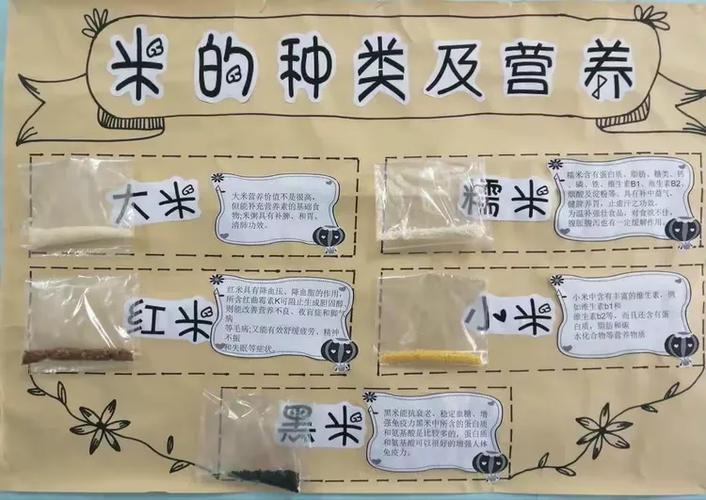 肺肺菜单主播同款怎么装