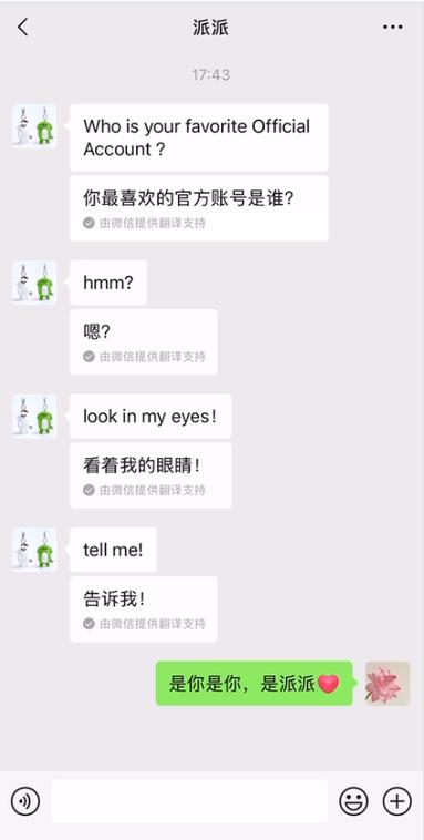 wechat翻译中文图标