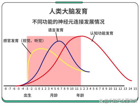 生长发育繁殖和未利用的能量