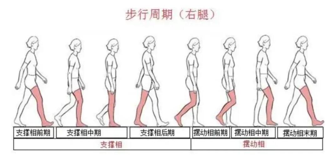 走路的正确姿势缩略图