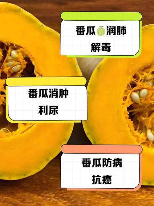 番瓜软件真的能赚钱吗
