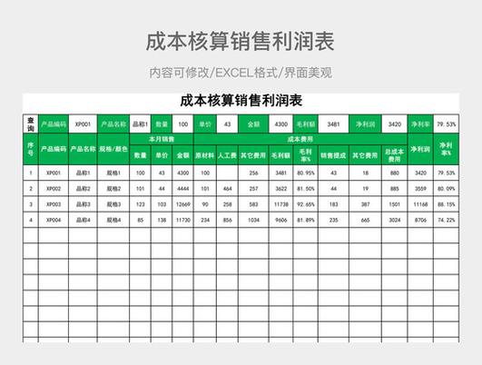成本利润分析缩略图