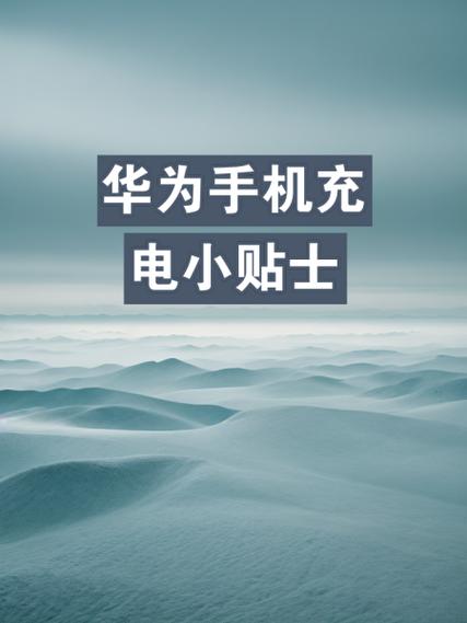 华为充电三种图标