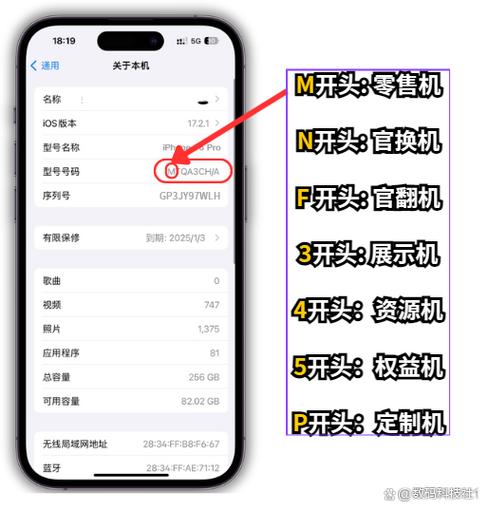 苹果手机国行怎么看