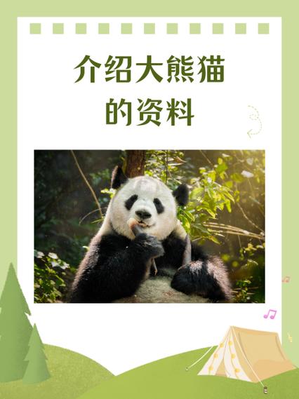 大熊猫的资料完整介绍