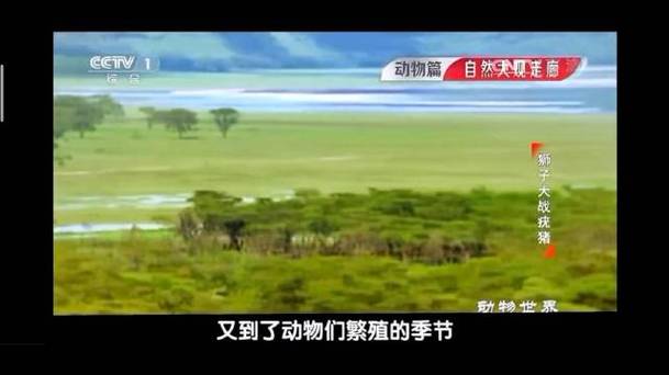 1动物世界视频app新闻