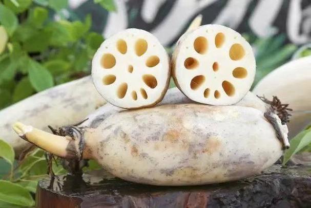 莲藕是荷花还是莲花的根游戏截图