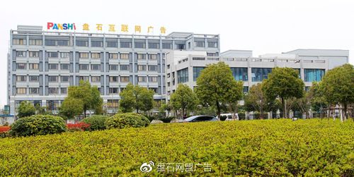杭州盘石集团