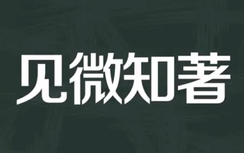 见微知著的含义