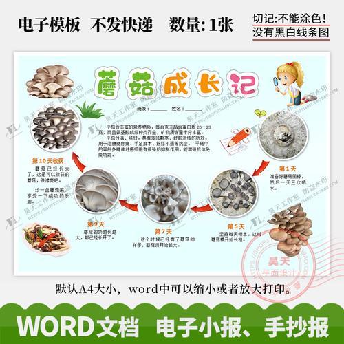 蘑菇一周成长记日记