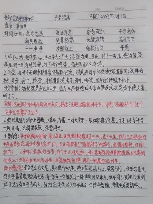 骆驼祥子阅读摘抄游戏截图