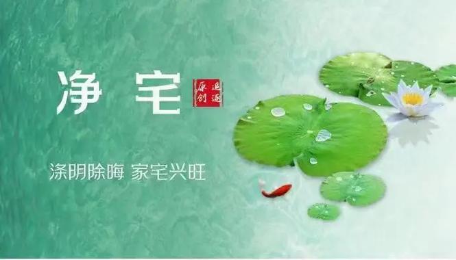 搬家前一天净宅方法截图