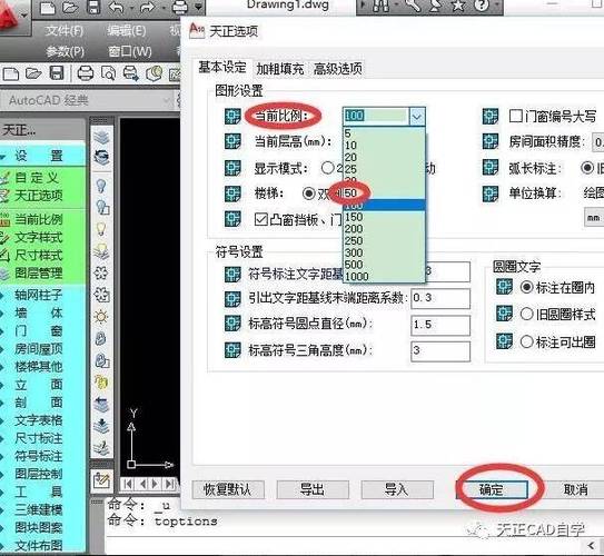 天正中坐标比例设置