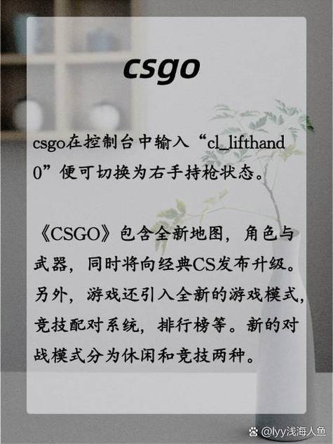 csgo左右手持枪指令