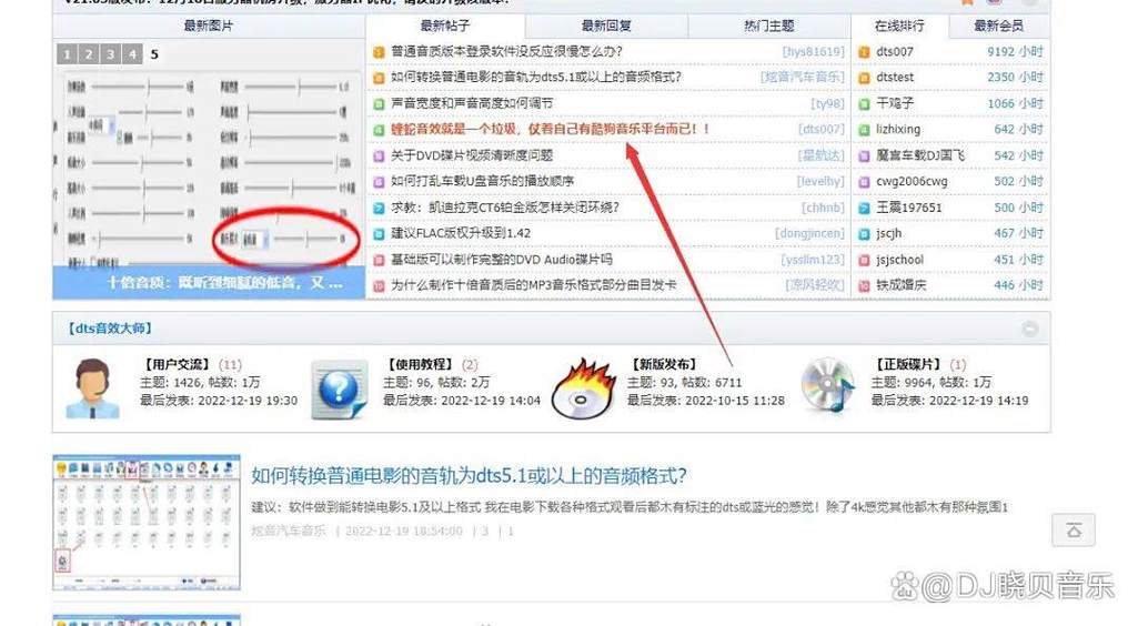 nplayer解码dts图标