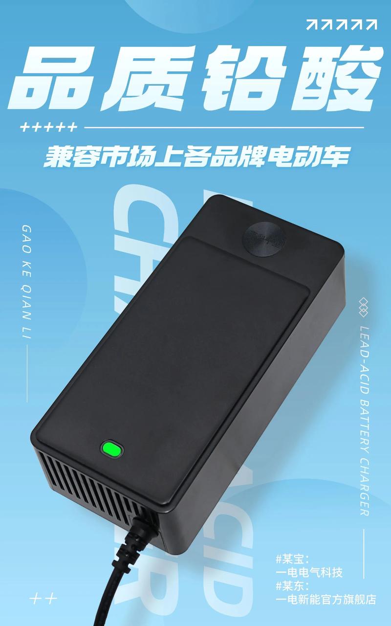 电瓶车充不进电亮绿灯原因